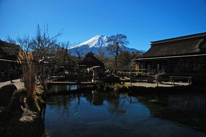Full Day Tour of Mount Fuji and Hakone From Tokyo - Traveler Information and Accessibility