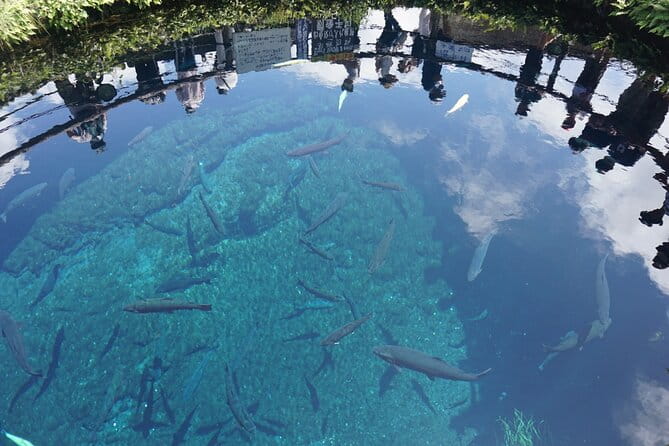 Full Day Tour of Mount Fuji and Hakone From Tokyo - Highlights of Mount Fuji