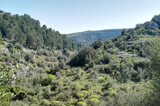 Full Day Tour of Pantalica in Sicily - Who Will Love This Experience?