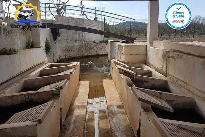 Full day tour of the Algarve with Jeep safari - The Sum Up