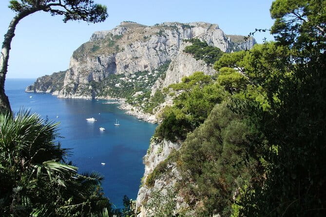 Full-Day Tour of the Amalfi Coast and Pompeii from Naples - Key Points / Takeaways