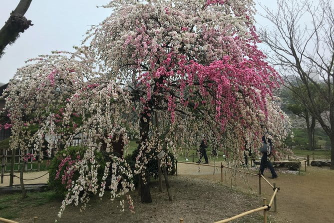 Full Day Tour on Your Arrangement - Customized Itinerary Planning