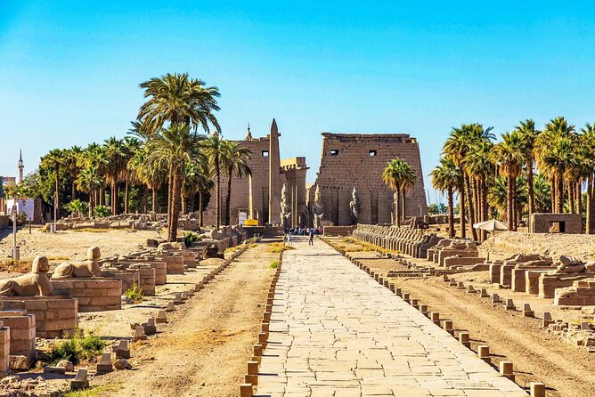 Full-Day Tour to East and West Banks of Luxor - Accessibility and Participation