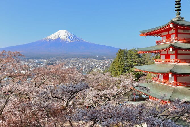 Full Day Tour to Mount Fuji in Spanish - Tour Highlights