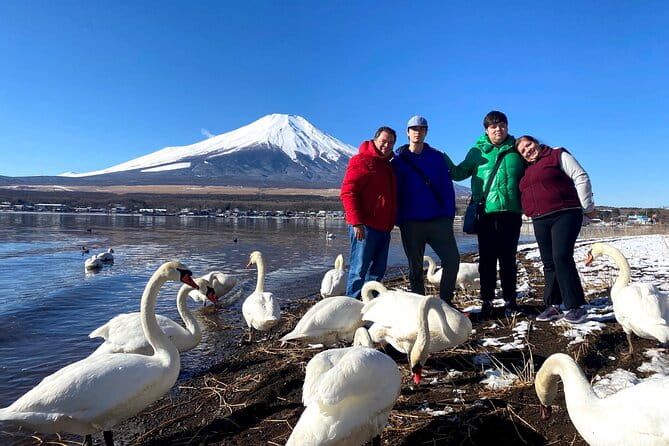 Full Day Tour to Mount Fuji in Spanish - Traveler Feedback