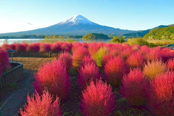 Full Day Tour to Mount Fuji in Spanish - Cultural Experience