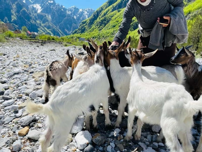 Full day tour to Shkoder - Theth - Suitability and Best for Whom