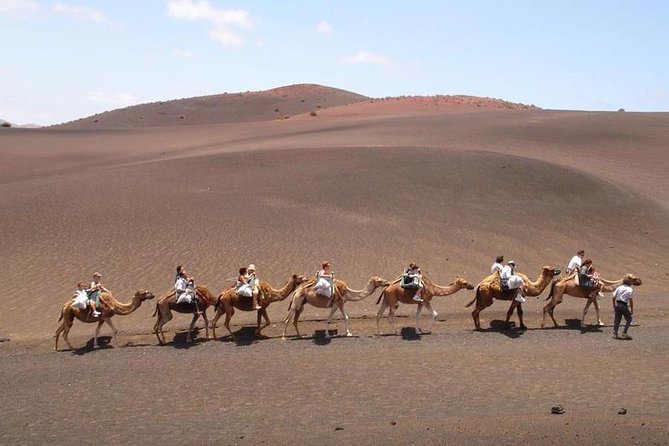 Full Day Tour to Timanfaya, Green Lagoon and La Geria - Meeting and Pickup