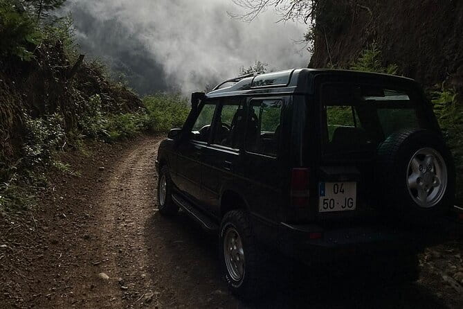 Full Day Tour to West Madeira Island - A Deep Dive into the Experience