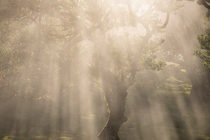 Full Day Tour to West Madeira Island - FAQ