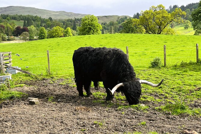 Full-Day Trip: Loch Ness, Glencoe & the Highlands From Edinburgh - Cancellation and Refund Policy