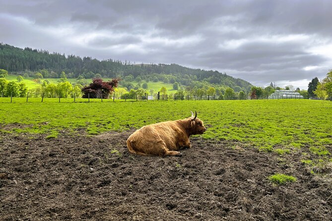 Full-Day Trip: Loch Ness, Glencoe & the Highlands From Edinburgh - Scenic Route Through the Highlands