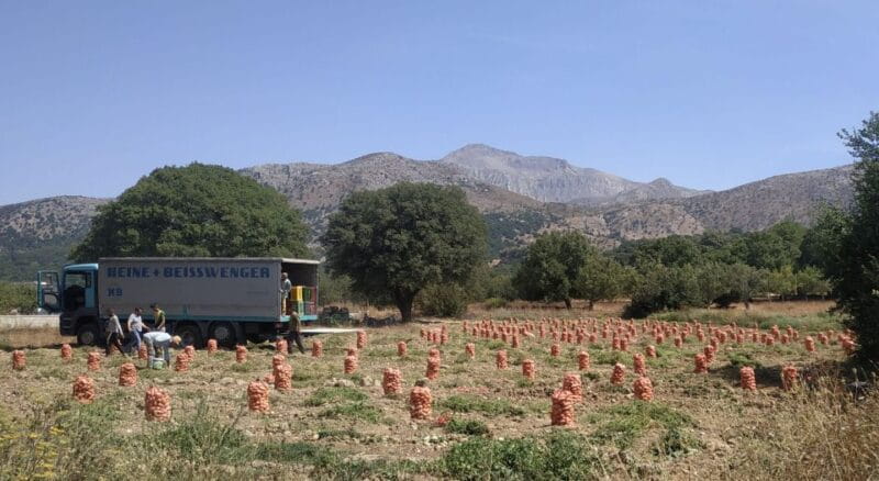 Full Day trip to Spinalonga and Lasithi Plateau Land of Zeus - Key points / Takeaways