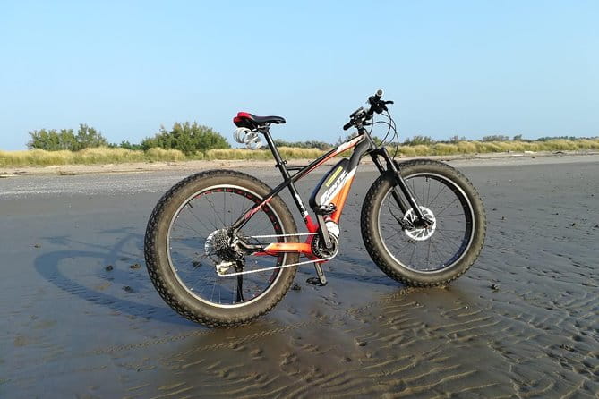 Full Day Venice E-Bike Rental - Discovering Venice’s Lagoon: Why Choose a Full-Day E-Bike Rental?