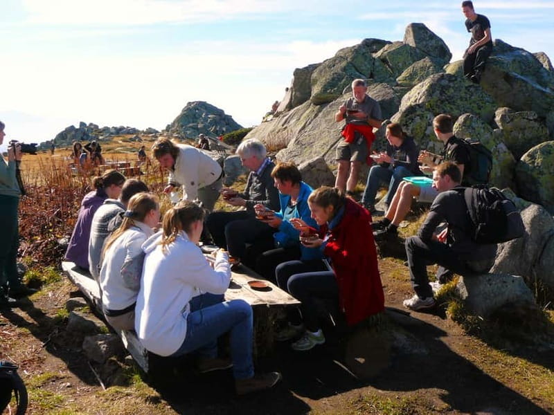 Full-Day Vitosha and Cherni Vruh Peak Hiking Tour - Key Points & Takeaways