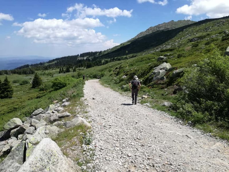 Full-Day Vitosha and Cherni Vruh Peak Hiking Tour - Who Will Enjoy This Experience?