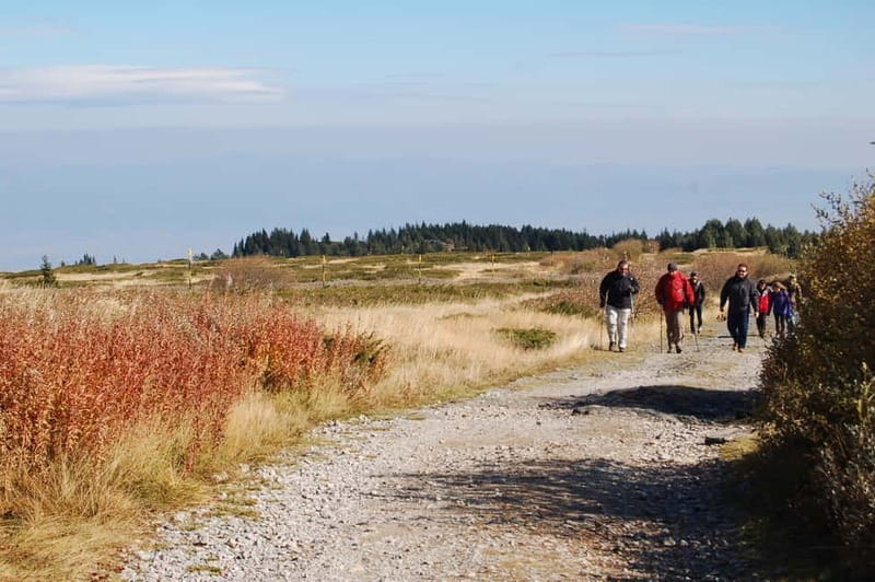 Full-Day Vitosha and Cherni Vruh Peak Hiking Tour - FAQ