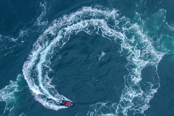 Full Day Whale Watching Campbell River - Additional Considerations