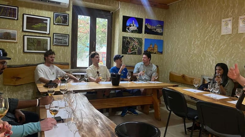 Full-Day Wine Tour in Kahkheti with Homemade Lunch - Who Will Love This Tour?