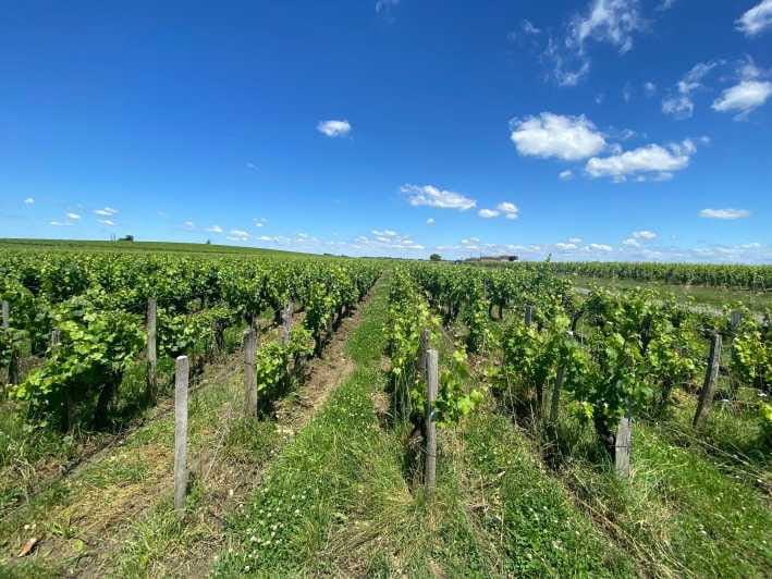 Full Day Wine tour in saint emilion & Margaux - The Sum Up: Who Will Love This Tour?