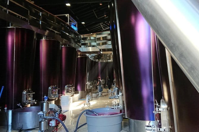 Full-day wine tour in Saint-Emilion (Premium Sedan) - An In-Depth Look at What to Expect