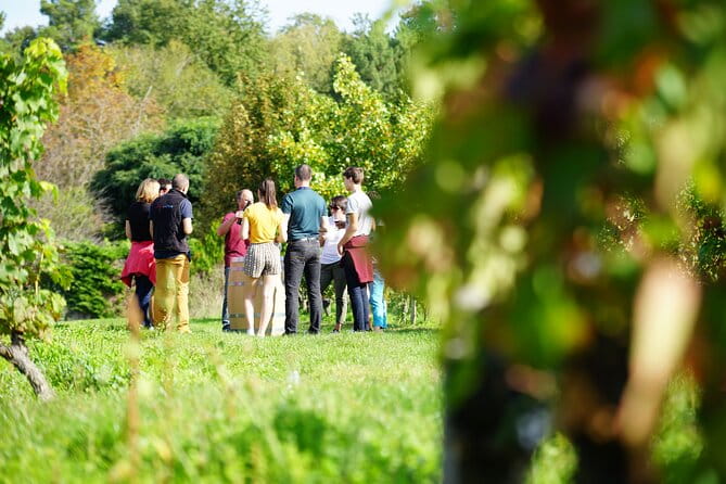 Full Day Wine Tour in Vouvray and Chinon with LUNCH at the winery - A Detailed Look at the Loire Valley Wine Tour