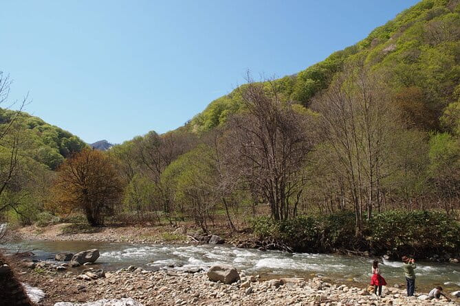 Full Day World Heritage Shirakami Mountains Hiking Tour - Transportation Details