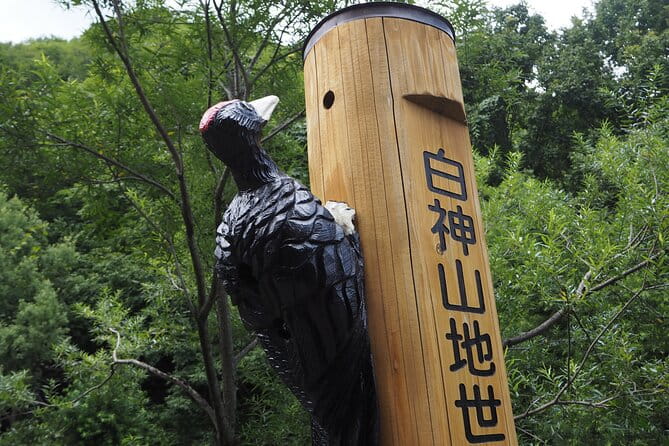 Full Day World Heritage Shirakami Mountains Hiking Tour - Lunch Arrangements