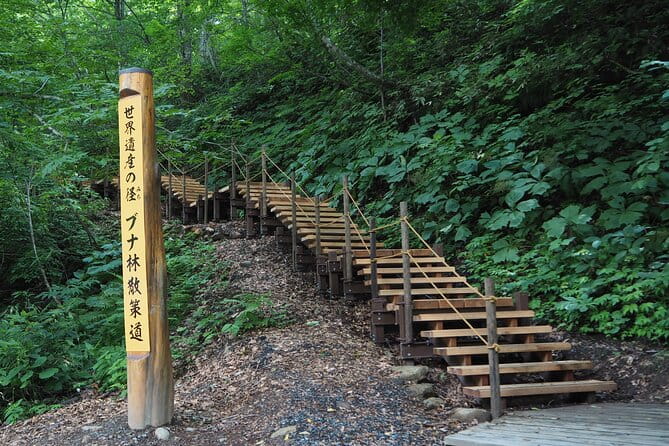 Full Day World Heritage Shirakami Mountains Hiking Tour - Booking and Confirmation Process