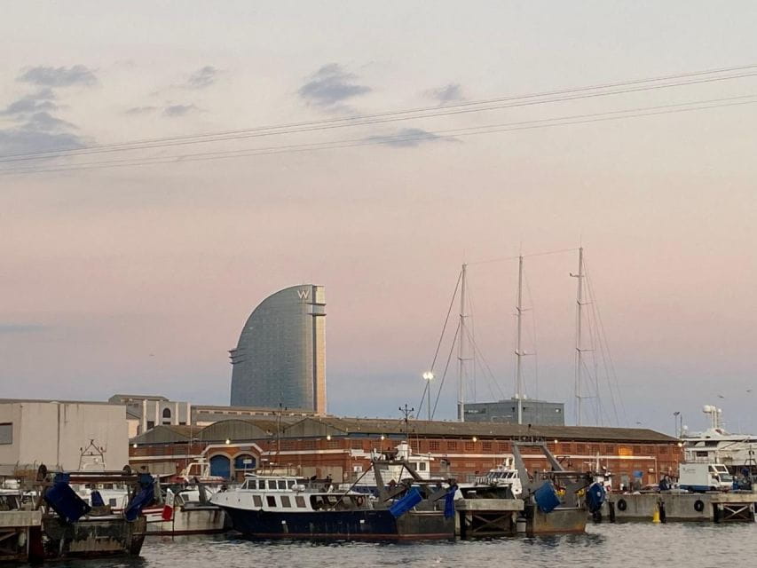 Full/Half Day Barcelona Highlights With Entrances & Tasting - Montjuïc Hill Panorama