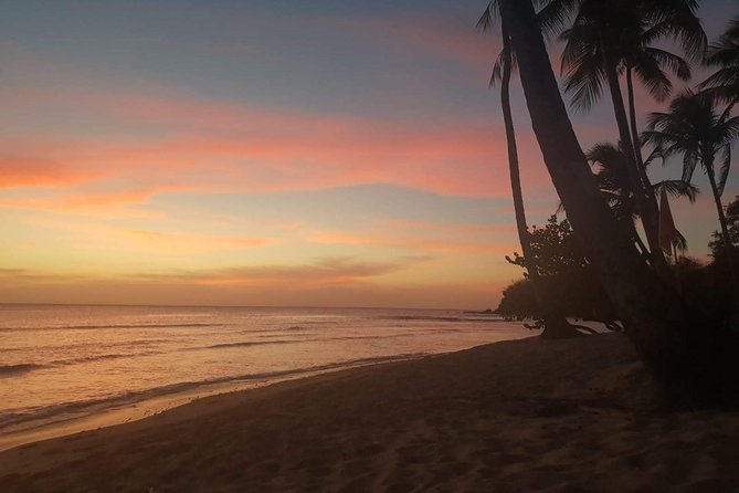 Full Island Tour (Including Lunch & Snorkeling) - Transportation and Transfers