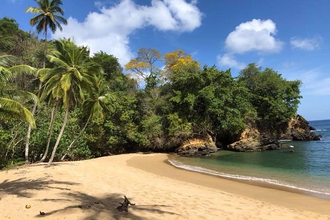 Full Island Tour (Including Lunch & Snorkeling) - Snorkeling Equipment and Activities