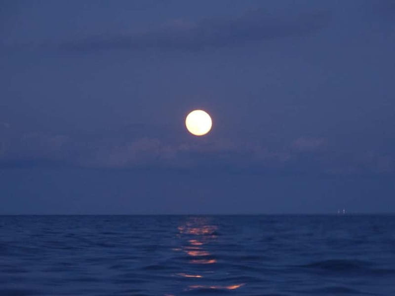 FULL MOON Boat Experience (OpenBar+Local Tapa included) - What’s Included and What’s Not