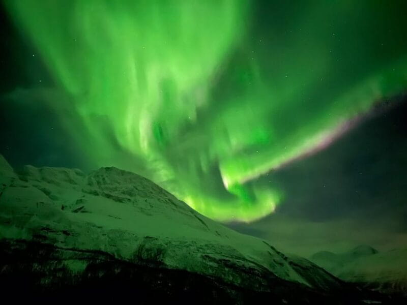Full Night Magic of the Arctic Lights in Tromso - Price and Value: Is It Worth It?