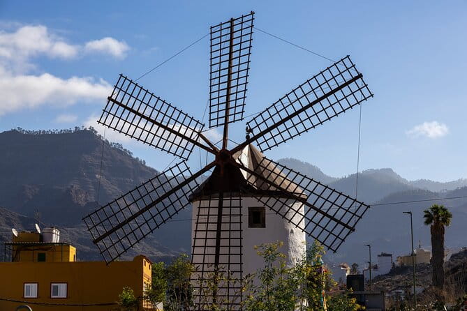 Full Private Tour of Gran Canaria with Natural Pools - The Experience in Context: Value, Comfort, and Suitability