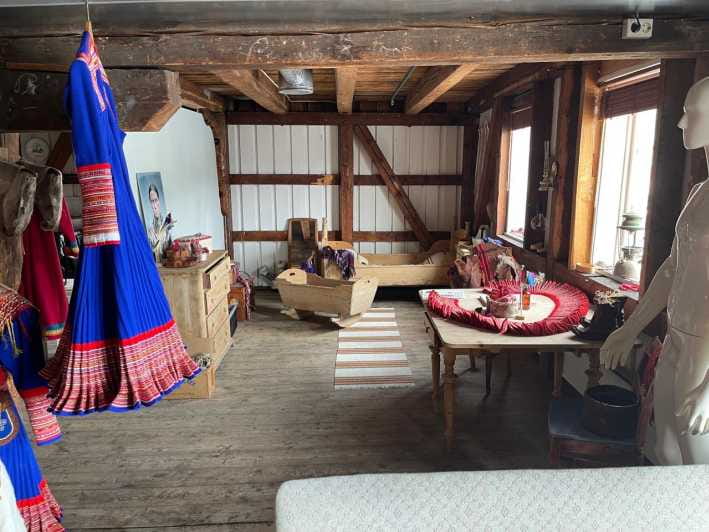 Full steam museum - Guided Sami Culture escursion - Key points / Takeaways