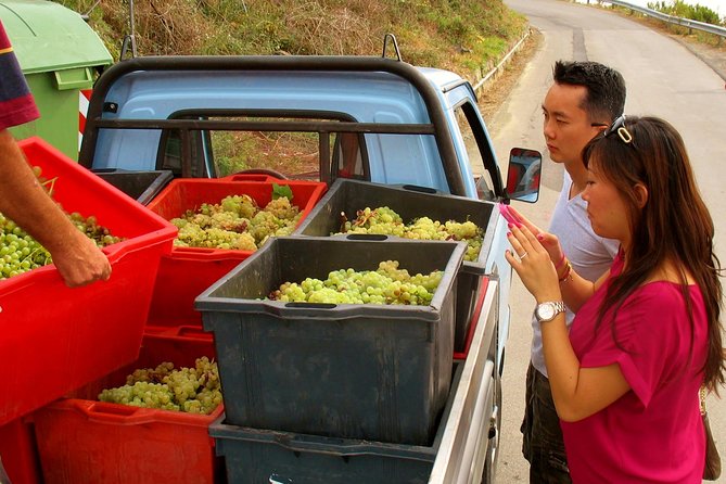 Fully-Day Private Tour to Cinque Terre From Florence - Exploring Vernazza