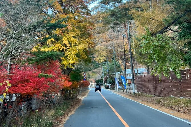 Fun Trail in Tokyo - Key Points