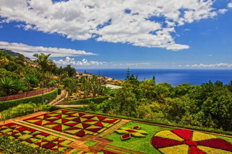 Funchal: Botanical Garden and Old Town Private Tuk-Tuk Tour - Discovering Funchal on a Private Tuk-Tuk