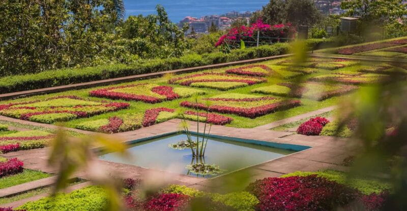 Funchal: Botanical Garden and Old Town Private Tuk-Tuk Tour - The Botanical Garden: A Plant Lover’s Paradise