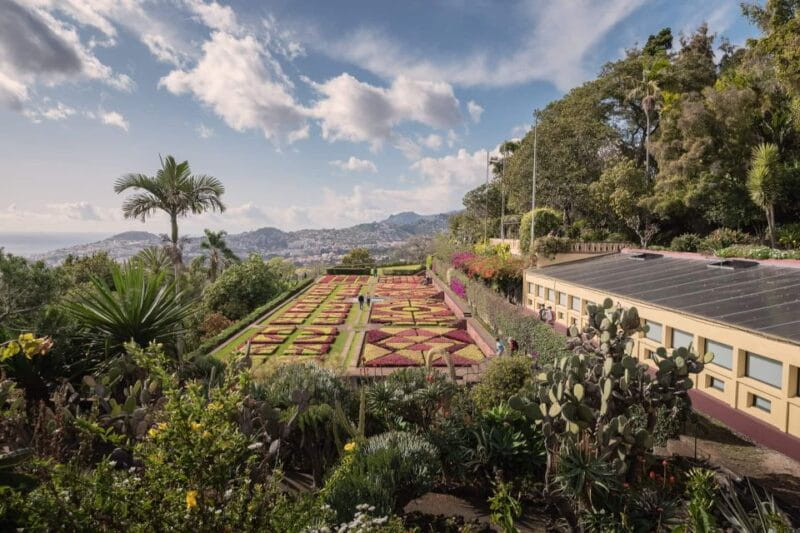 Funchal: Botanical Garden and Old Town Private Tuk-Tuk Tour - Scenic Drives and Hidden Corners of Funchal