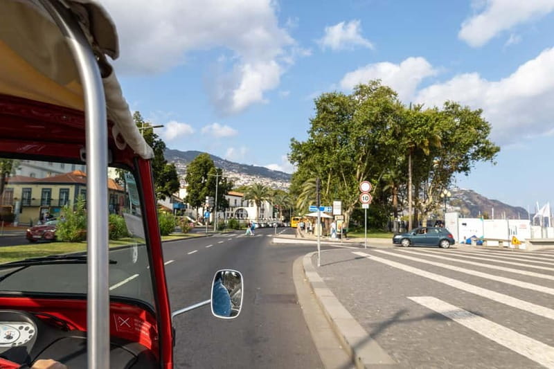 Funchal: Botanical Garden & Old Town Tour by TukTuk (1h45) - Key points / Takeaways