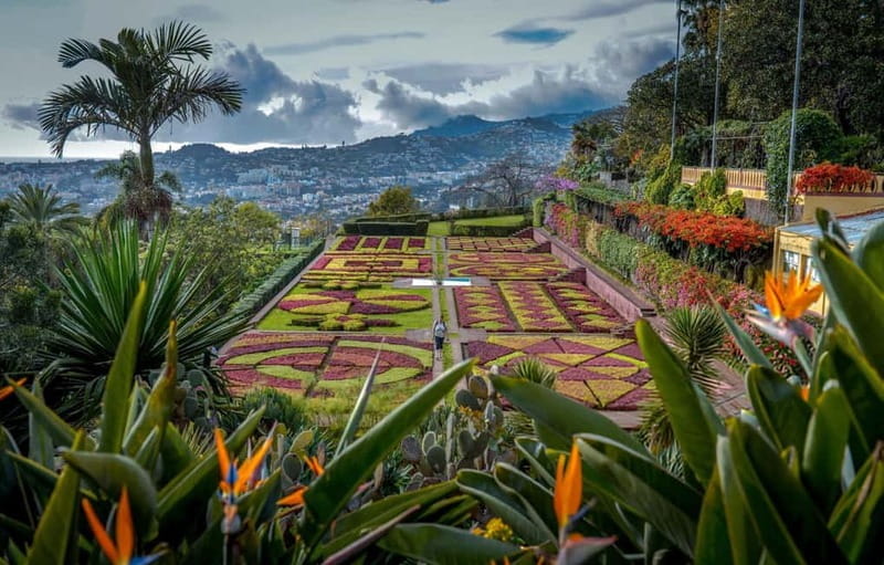 Funchal: Botanical Garden & Old Town Tour by TukTuk (1h45) - Who Should Book This Tour?