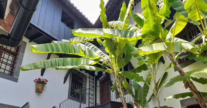 Funchal Flavours - Price and Overall Value