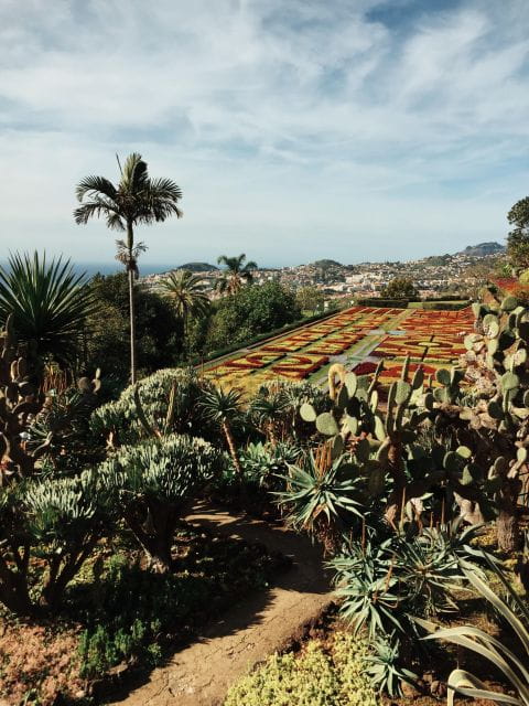 Funchal: Guided Old Town Tuk Tuk Tour and Botanical Gardens - Key Points / Takeaways