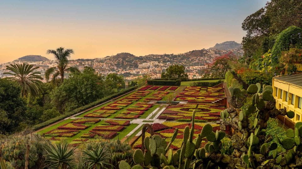 Funchal: Guided Tuk Tuk Tour and Botanical Gardens - Tour Route and Attractions