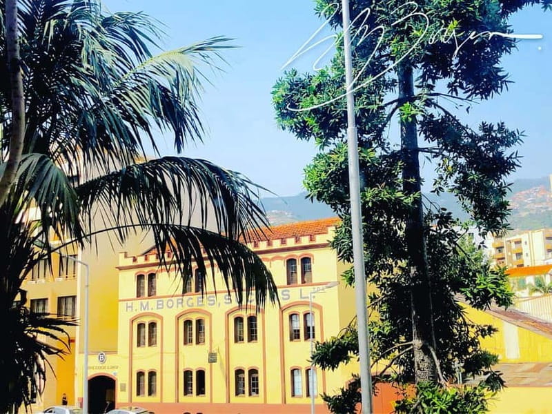 Funchal: H.M. Borges Winery Private Tour and Wine Tasting - Key Points / Takeaways