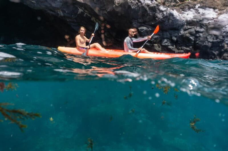 Funchal: KAYAK Rental or Guided tour with snorkeling - Key Points / Takeaways