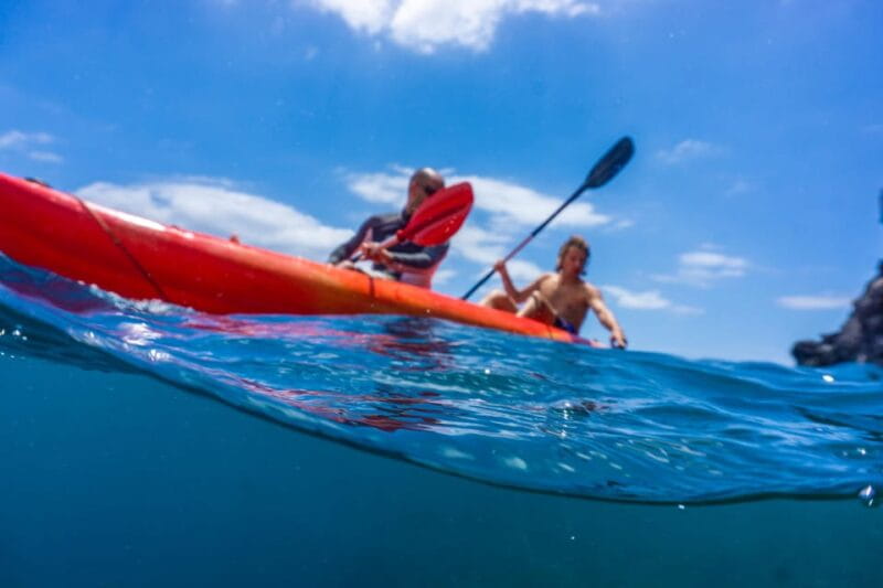 Funchal: KAYAK Rental or Guided tour with snorkeling - Price and Logistics: A Good Investment in a Short Time