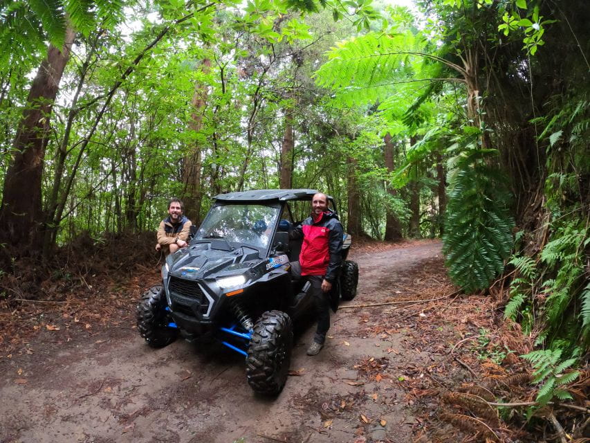 Funchal: Private Off-Road Buggy Tour With Guide & Transfers - Endemic Flora and Fauna